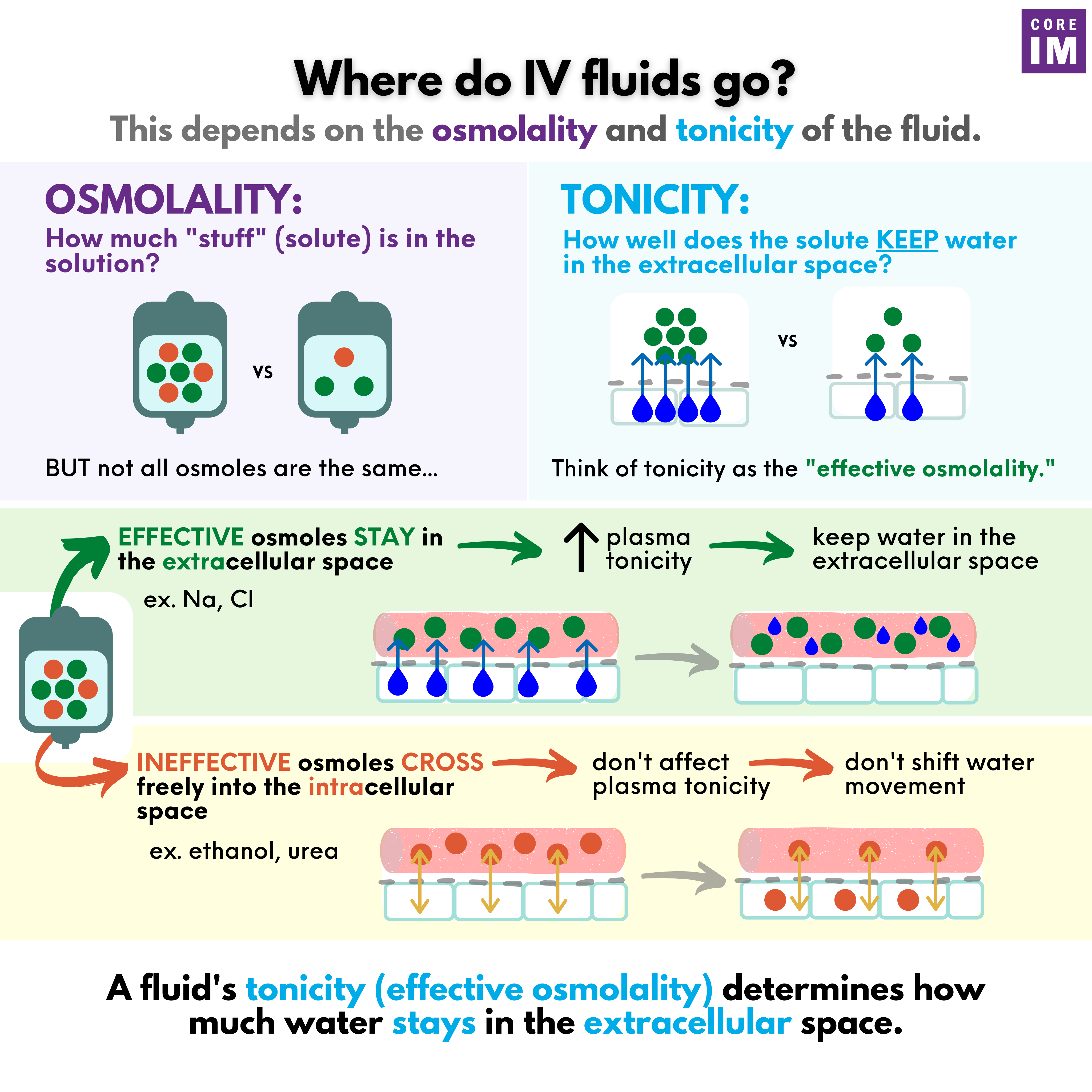 Fluids-1-v6.png