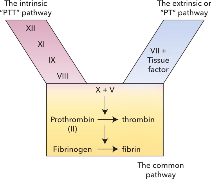 Pasted image 20230709230712.png