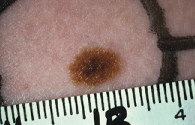 Pasted image 20230725041025.png