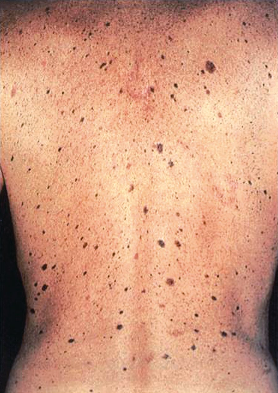 Pasted image 20230725041035.png