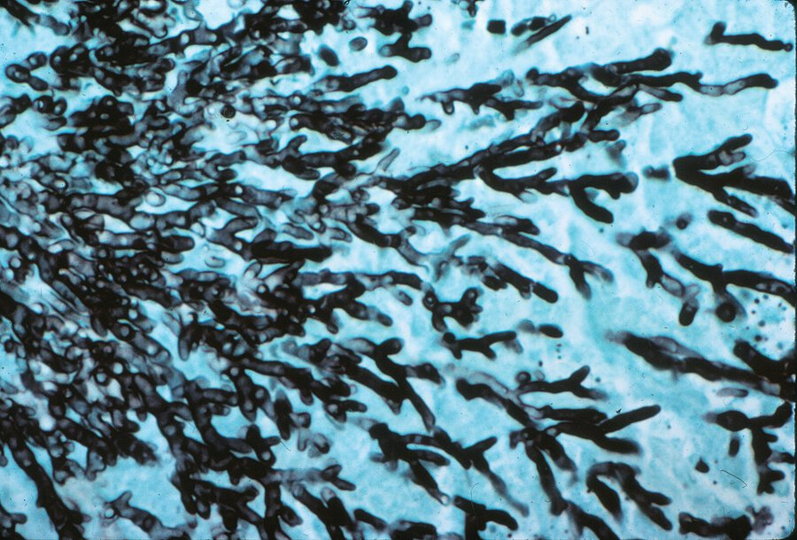 Pasted image 20230801160941.png|400