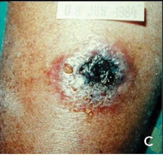 Pasted image 20230802075125.png