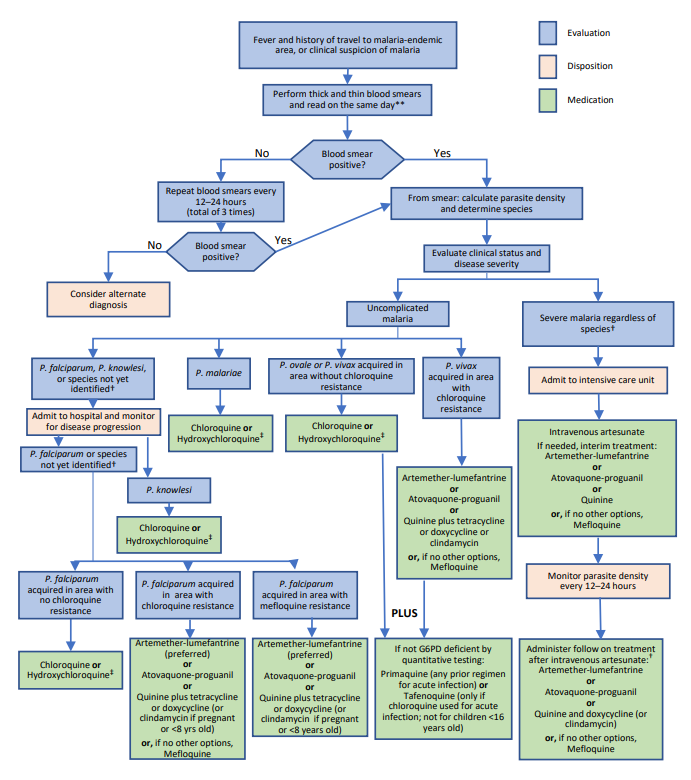 Pasted image 20230802092352.png