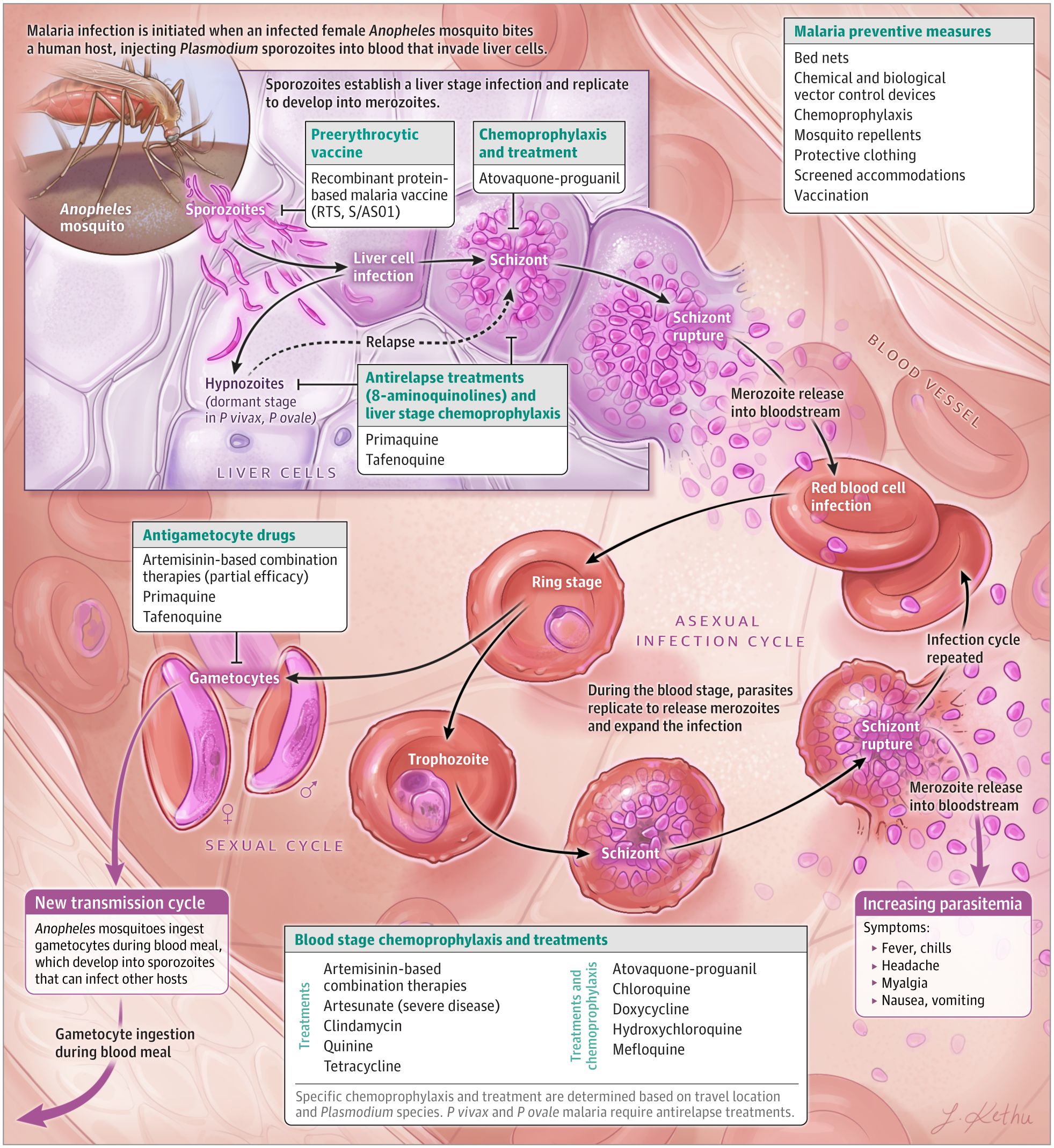 Pasted image 20230802094856.png