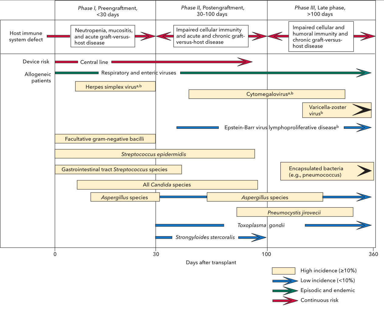 Pasted image 20230802235402.png|800