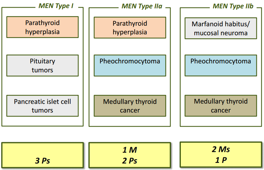 Pasted image 20230811194316.png