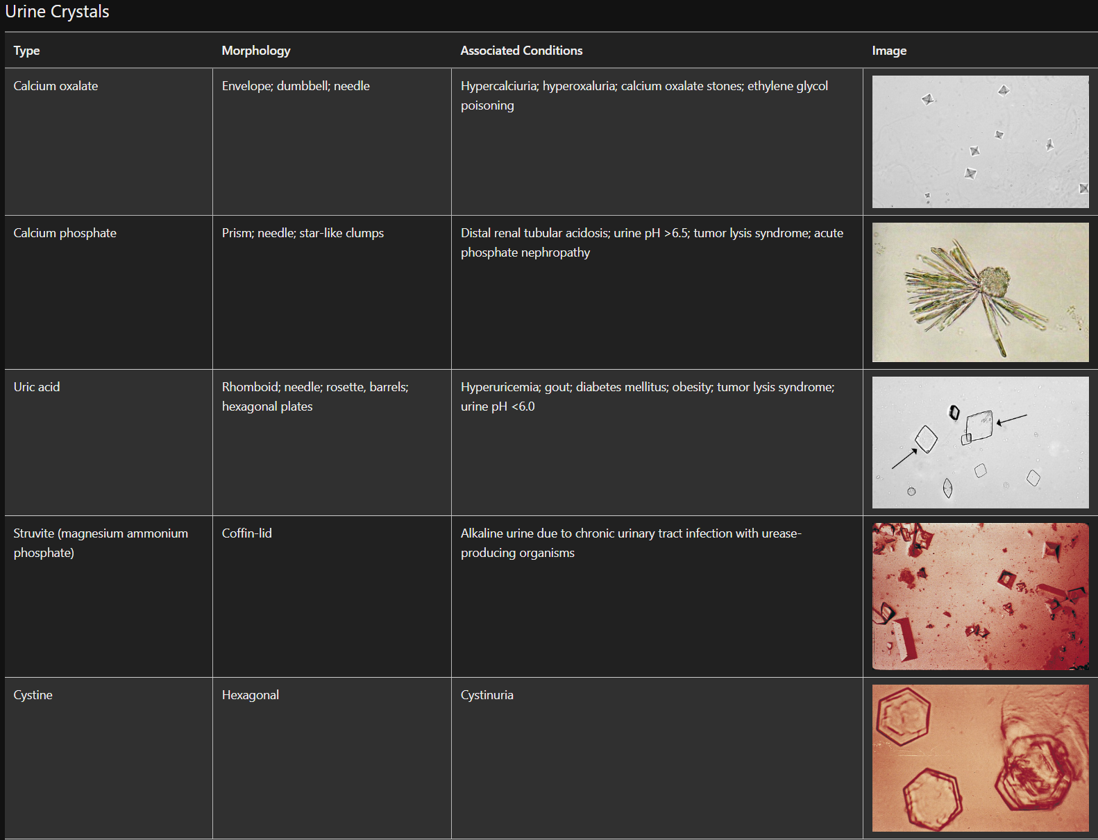 Pasted image 20230812153150.png