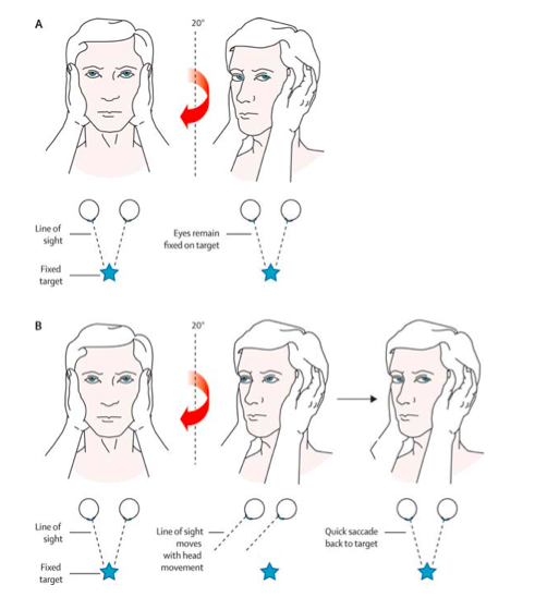 Pasted image 20230813113950.png