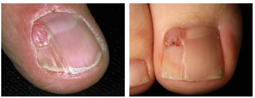 Pasted image 20240411060656.png