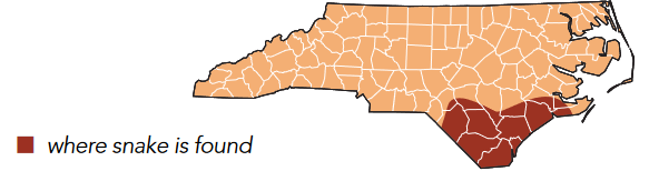 Pasted image 20240609031839.png|400