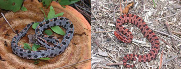 Pasted image 20240609032404.png