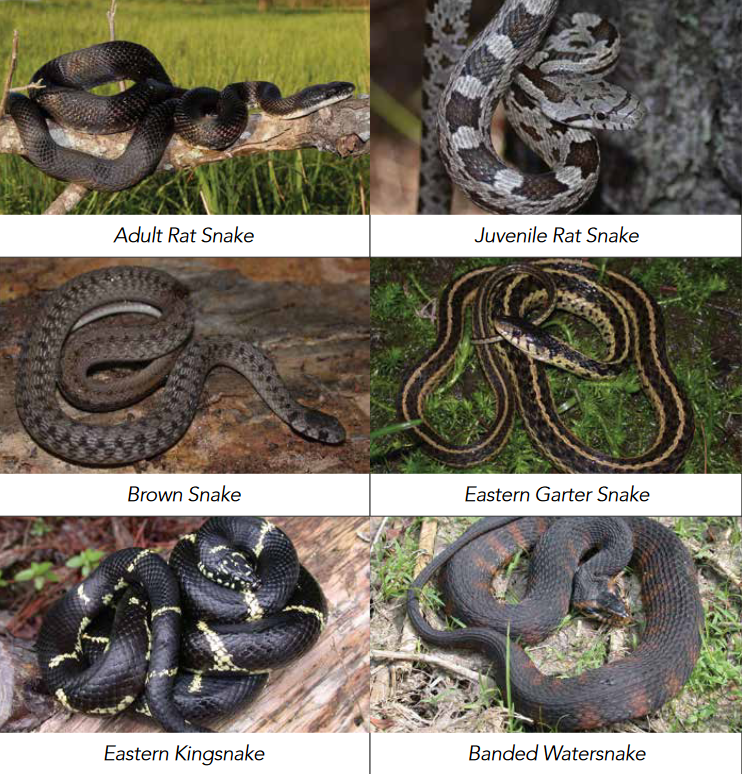 Pasted image 20240609033342.png